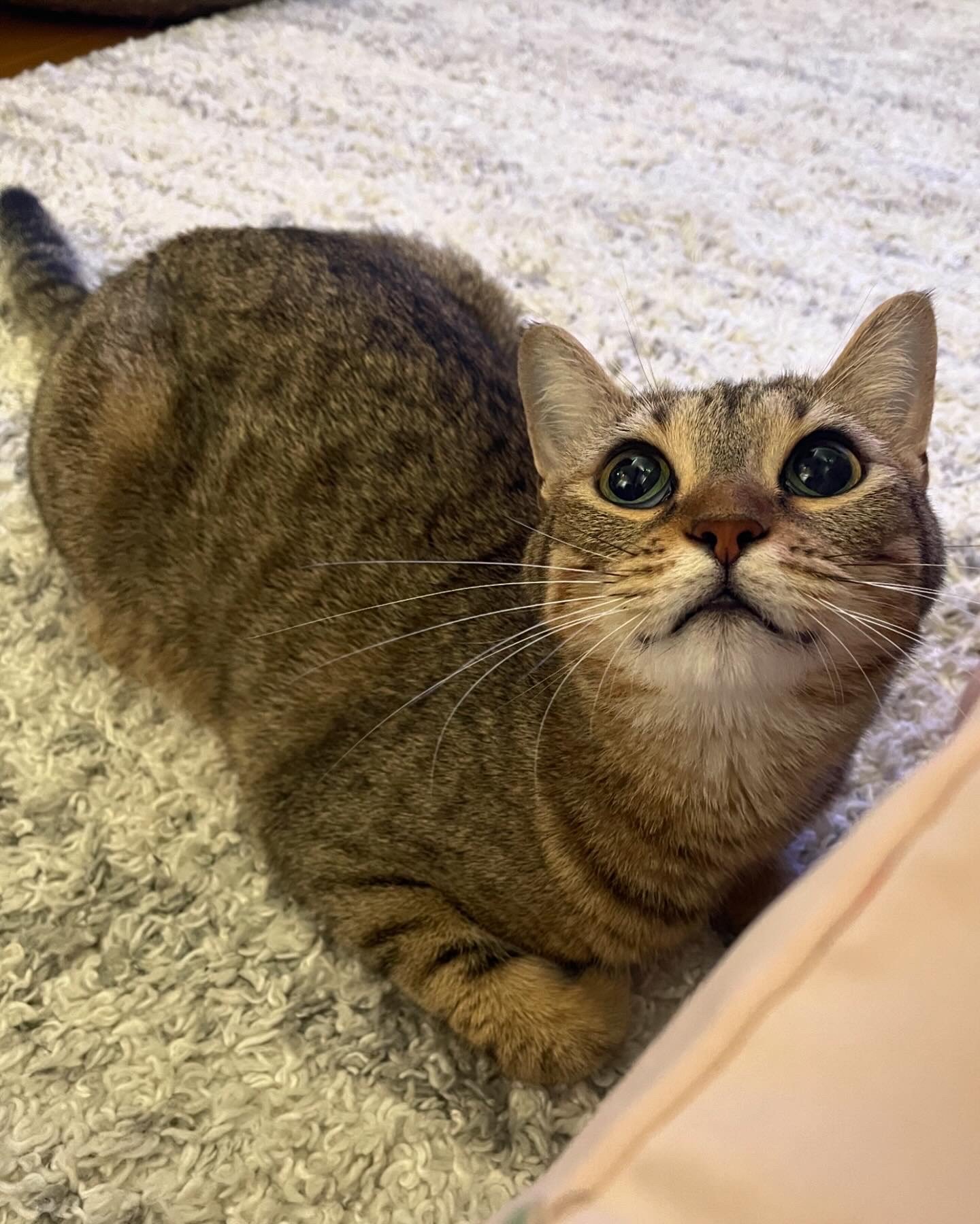 リピーター様！みくろちゃん♪の画像